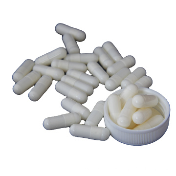 Wholesale health supplements Cordyceps capsules Cordyceps extract capsules Cordyceps militaris capsules